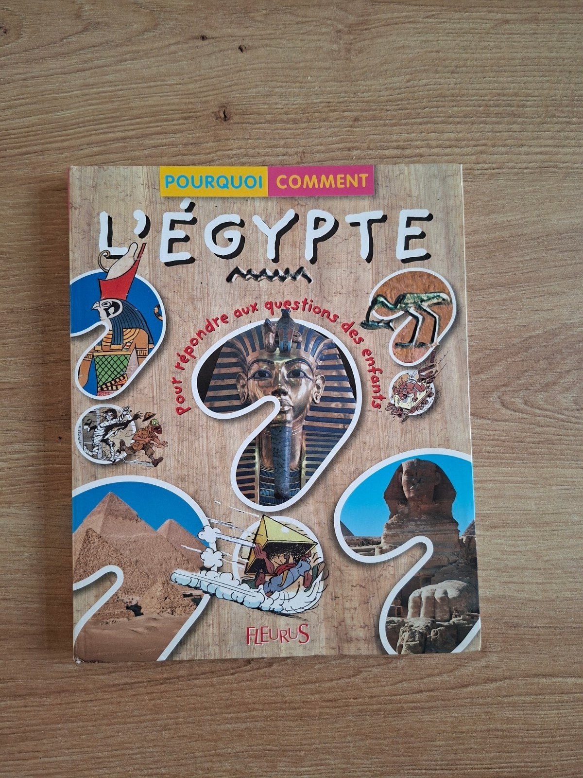 Livre illustré : Pourquoi Comment sur L'Égypte.
Pour répondr, Boeken, Overige Boeken, Ophalen of Verzenden, Nieuw