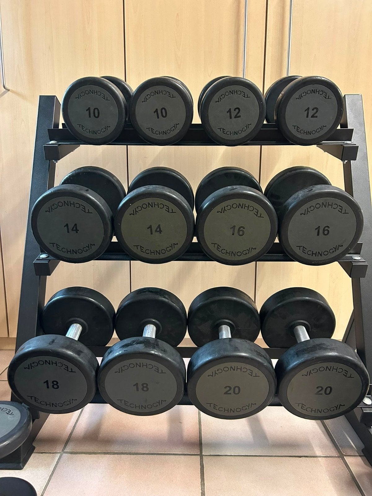 Complete Technogym dumbbellset 4–20 kg, Ophalen, Gebruikt, Armen, Dumbbell