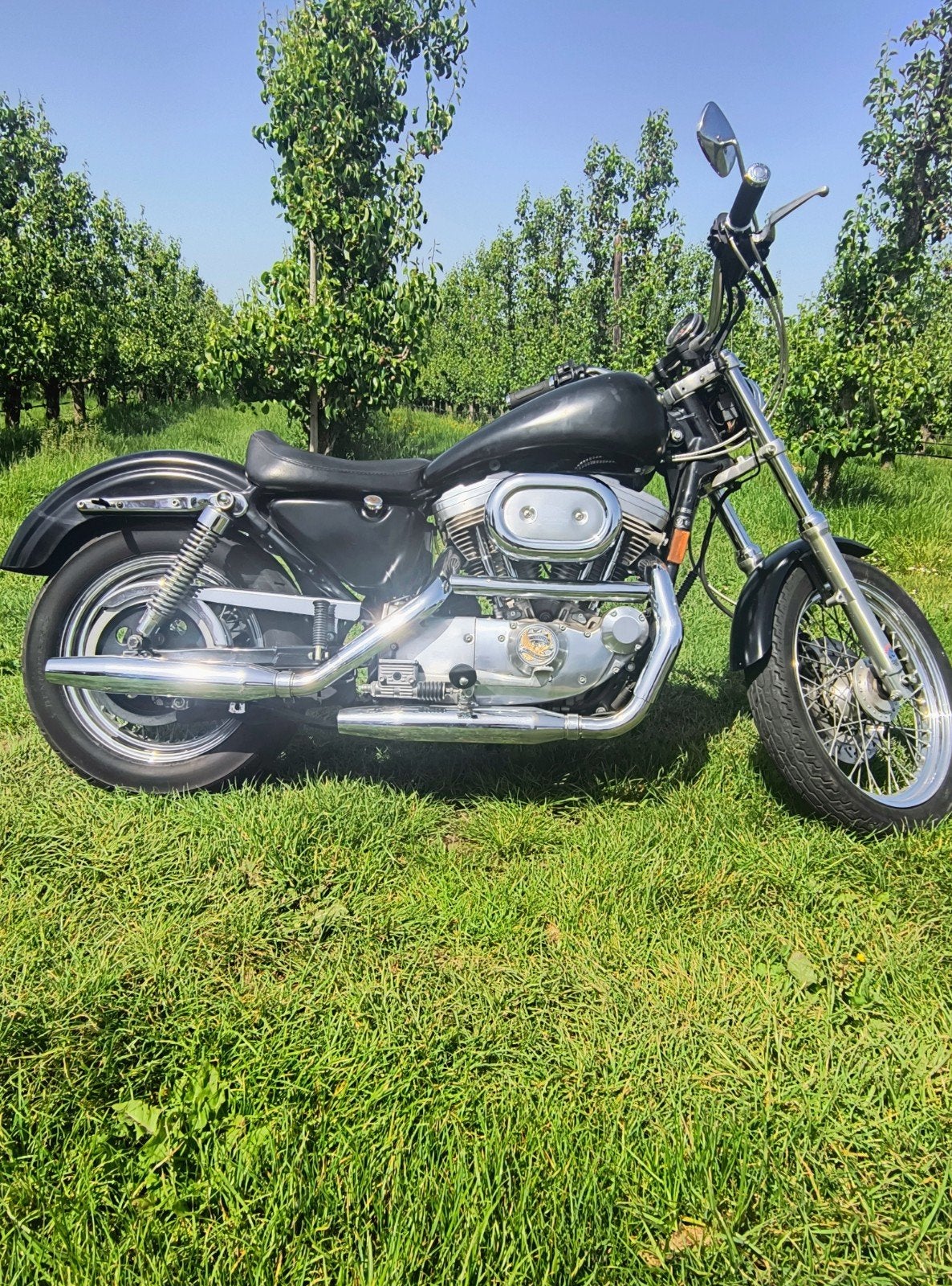 Harley XL883 sportster, Motoren, Motoren | Harley-Davidson, Particulier, LED Verlichting