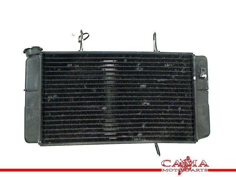 RADIATEUR Yamaha FZS 600 Fazer 2002-2003 (FZS600), Motoren, Dhr. S. di Majo, Gebruikt, Info@cama-motorparts.nl, P.J. Troelstraweg 8 8
3144 CX  MAASSLUIS, NL