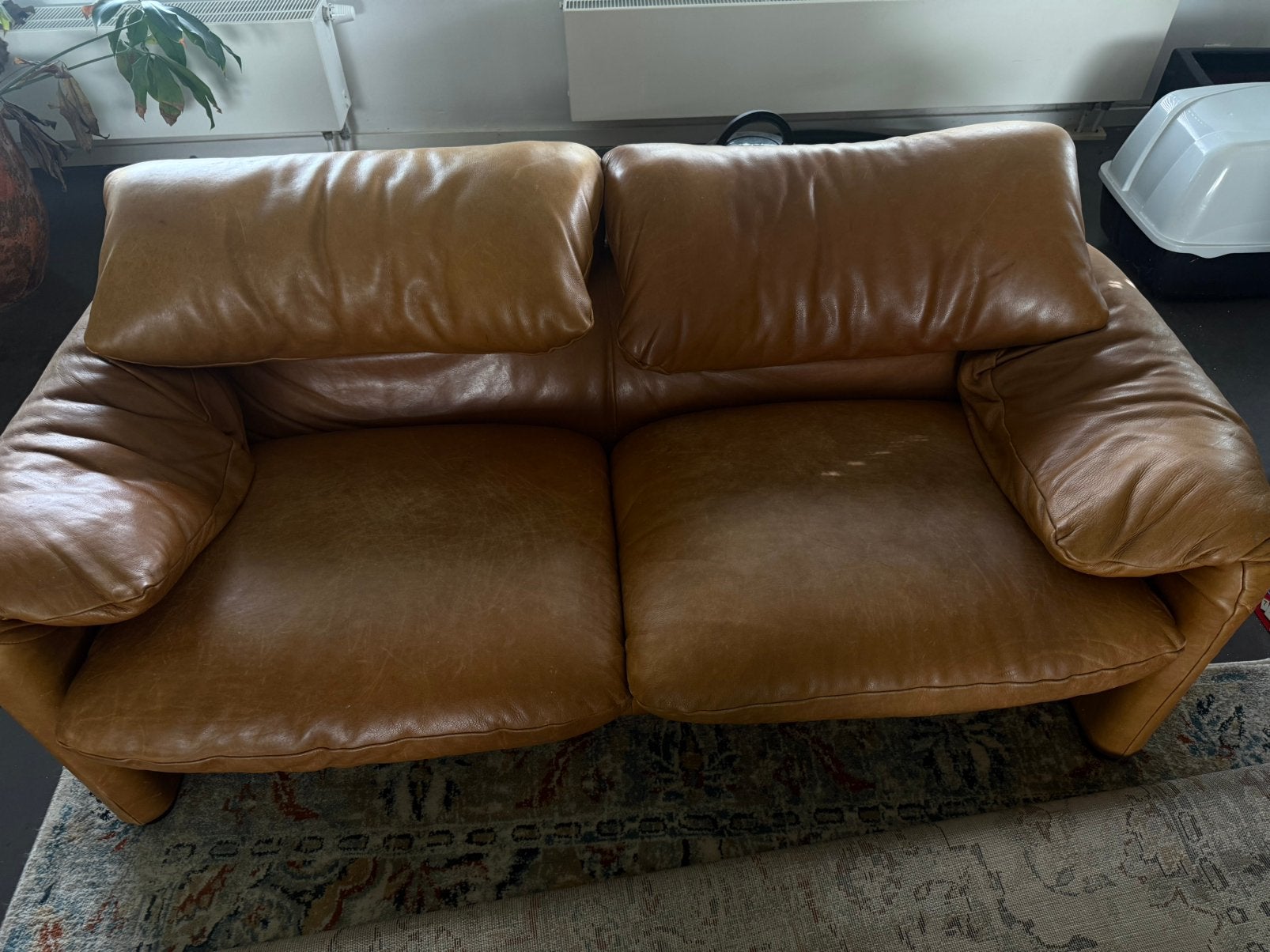 Maralunga Cassina , lichte lederschade, Enlèvement, Utilisé