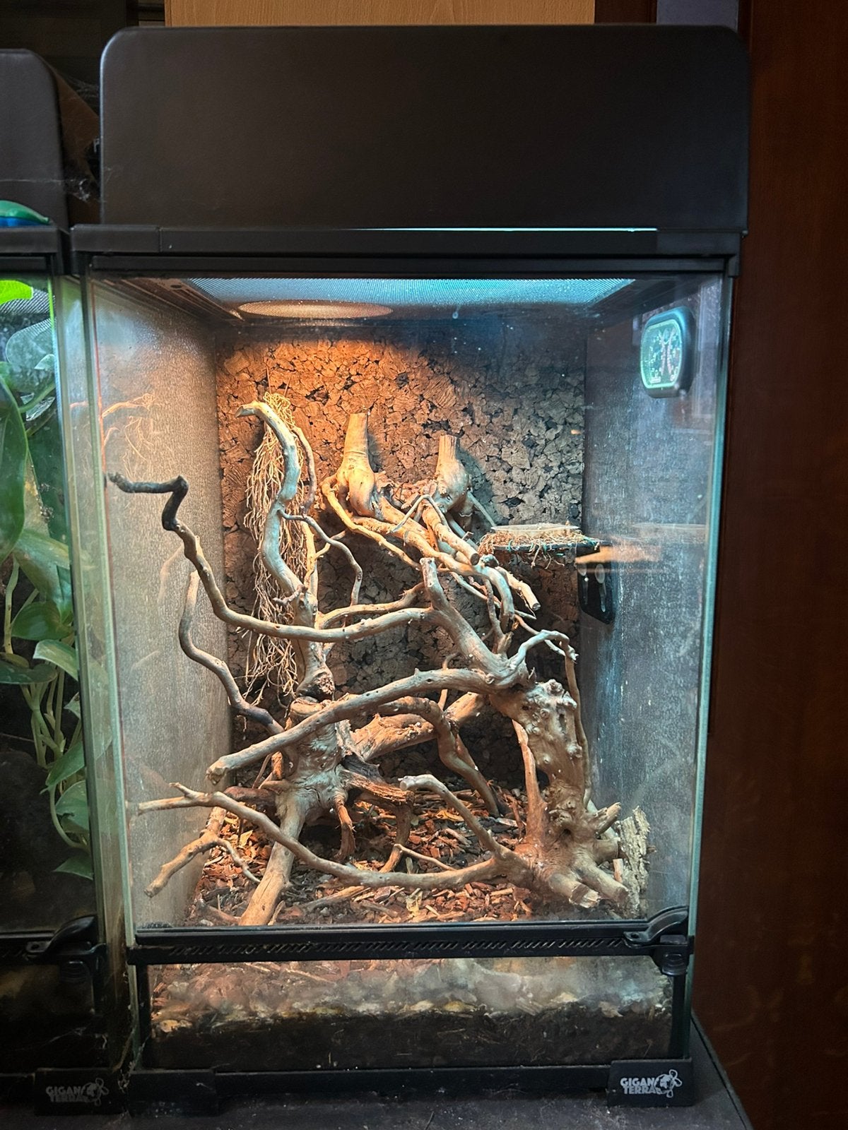 Ingericht terrarium 30x30x40, Enlèvement, Utilisé, Terrarium ou Paludarium