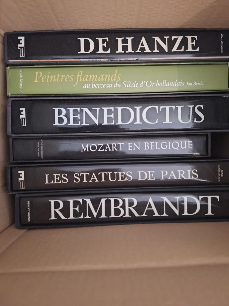 Kunstboeken (+/- 140), Ophalen, Zo goed als nieuw, Overige onderwerpen