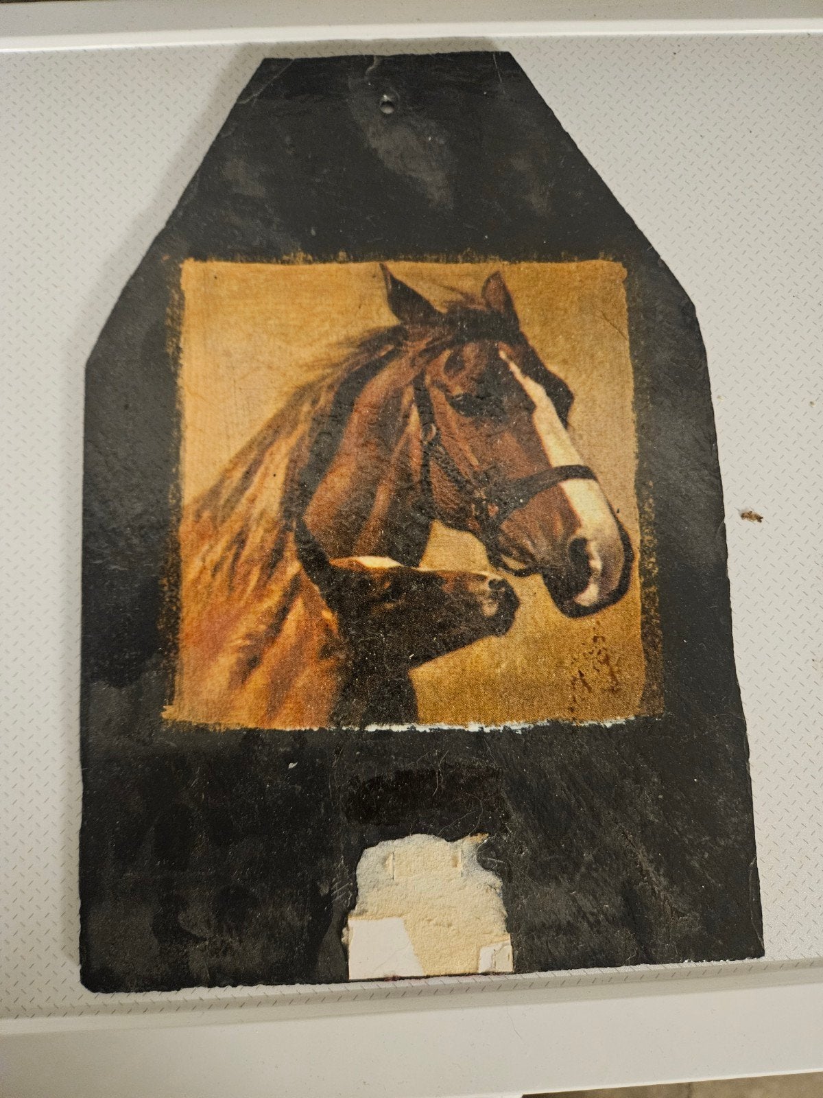 décoration cheval sur une ardoise, Collections, Collections Autre