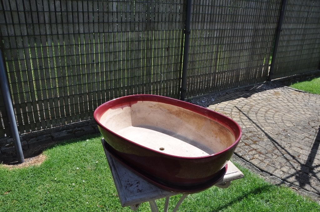 BONSAI BLOEMPOT, Ophalen, Steen, Gebruikt, 40 cm of meer