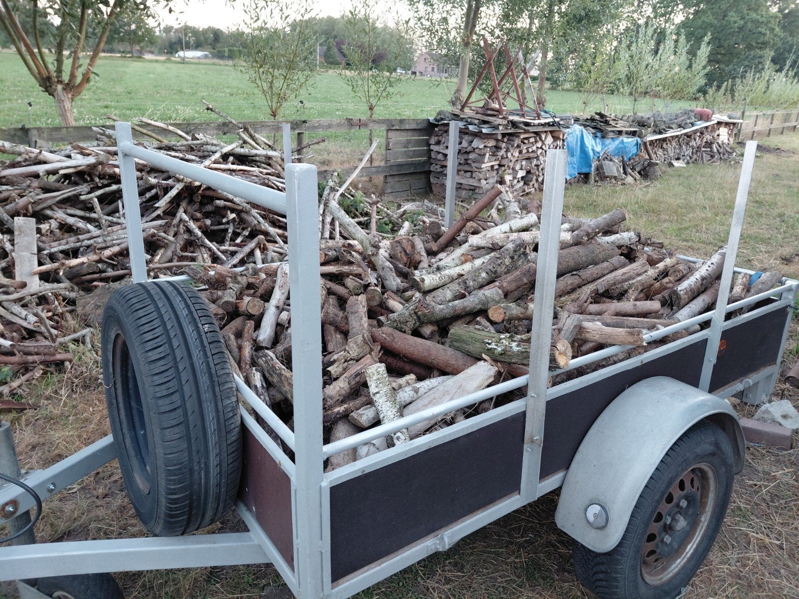 brandhout, sprokkelhout, aanmaakhout, Tuin en Terras, Minder dan 3 m³, Ophalen, Overige houtsoorten, Takken