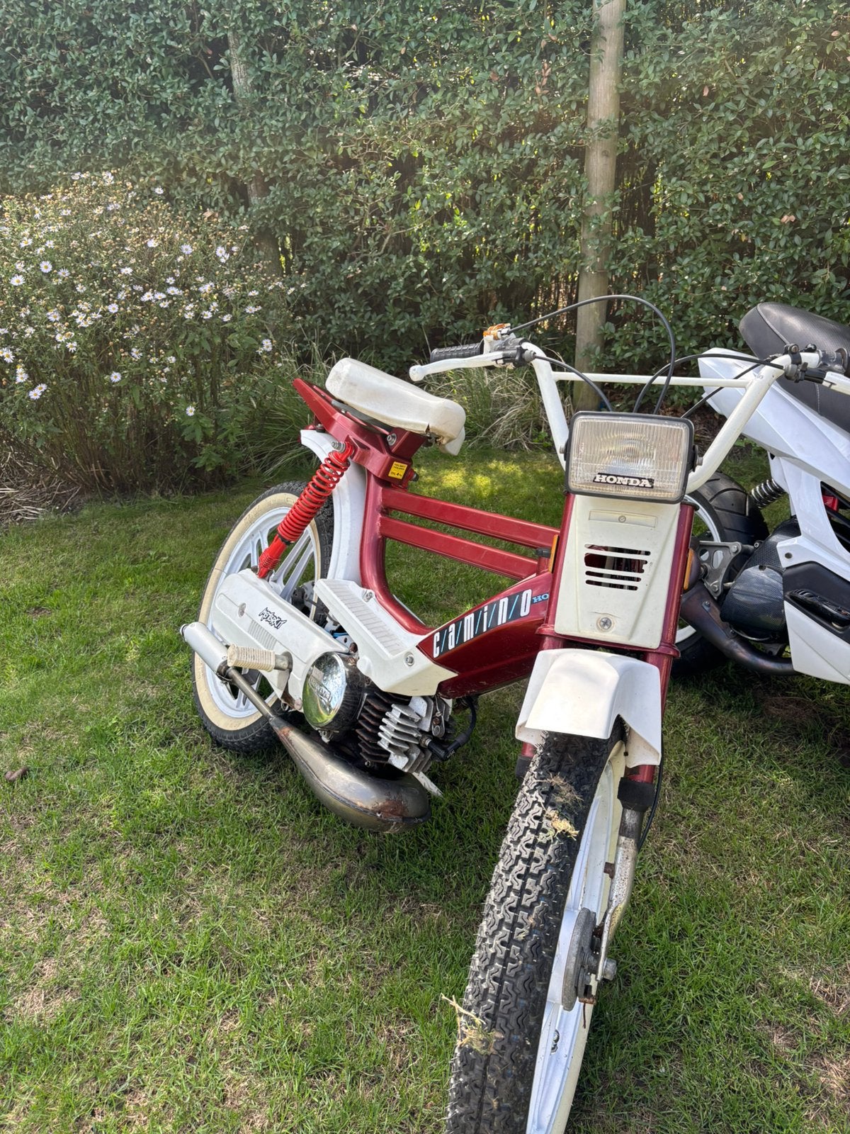 Honda camino (b-klasse, originele papieren), Fietsen en Brommers, Overige modellen, 65 cc, Ophalen of Verzenden, 1 versnellingen