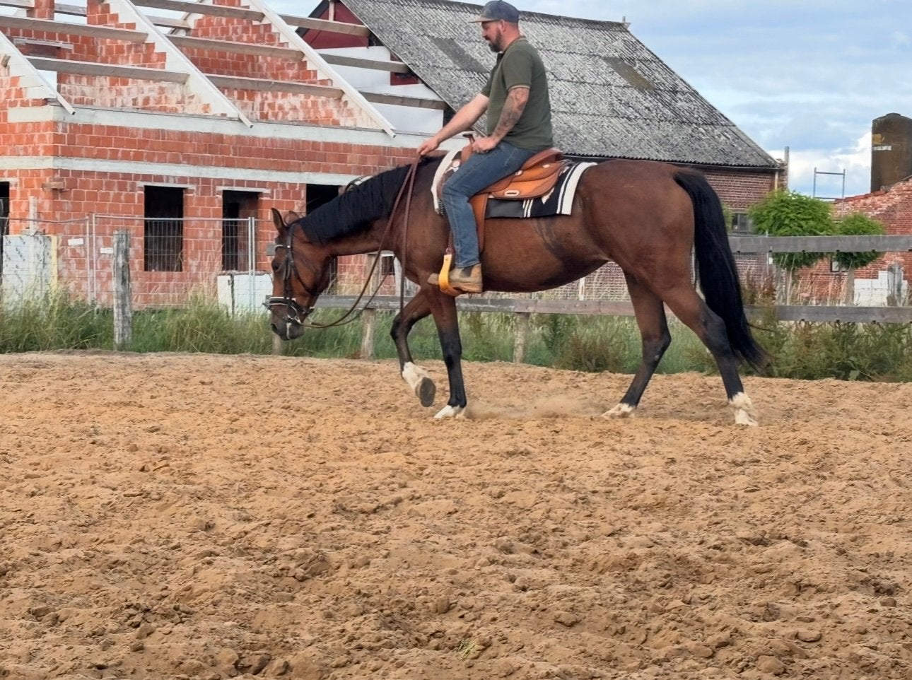 Lieve france merrie, Dieren en Toebehoren, Merrie