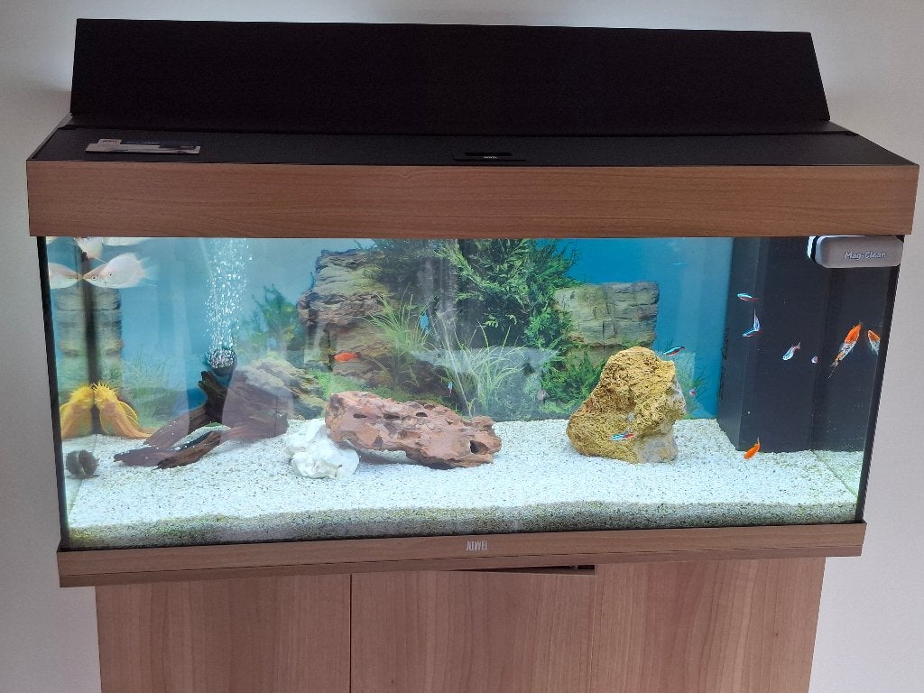 Aquarium, Dieren en Toebehoren, Ophalen, Inclusief vissen, Zo goed als nieuw, Juwel