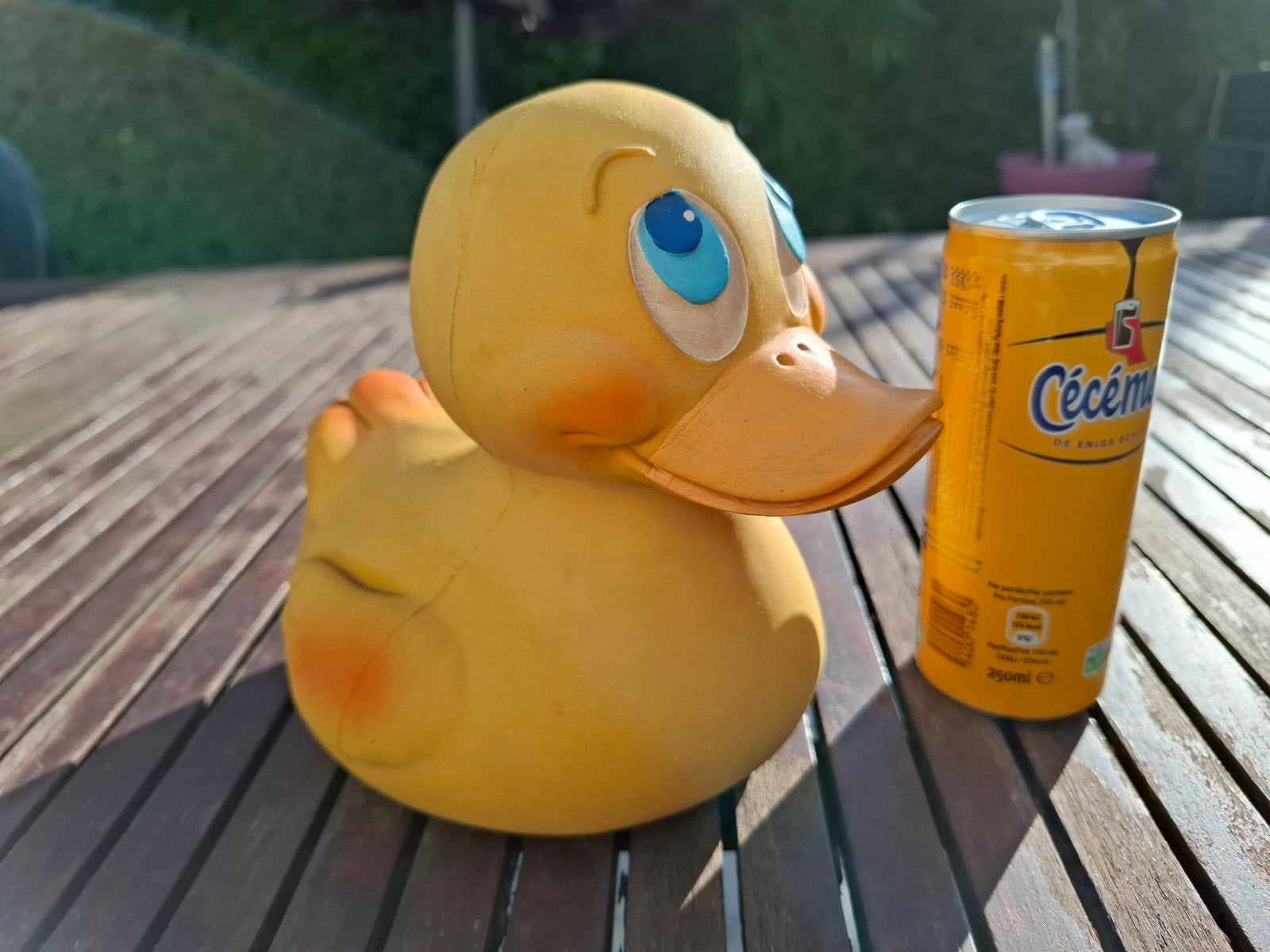 Canard Lanco, Enlèvement, Comme neuf
