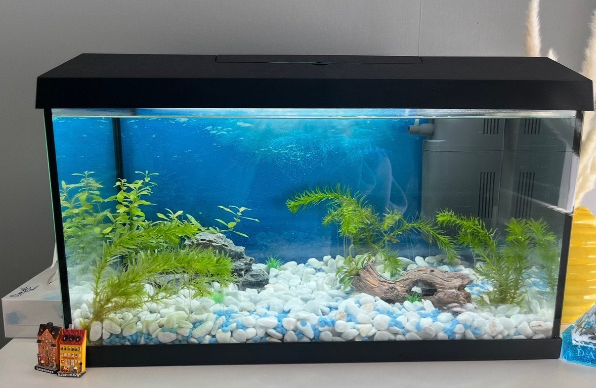 Aquarium met filter/verwarming 60L - Juwel, Ophalen, Zo goed als nieuw, Leeg aquarium, Inclusief toebehoren