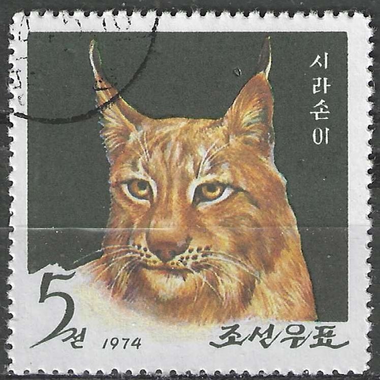 Noord-Korea 1974 - Yvert 1211 - Lynx (ST), Postzegels en Munten, Verzenden, Gestempeld