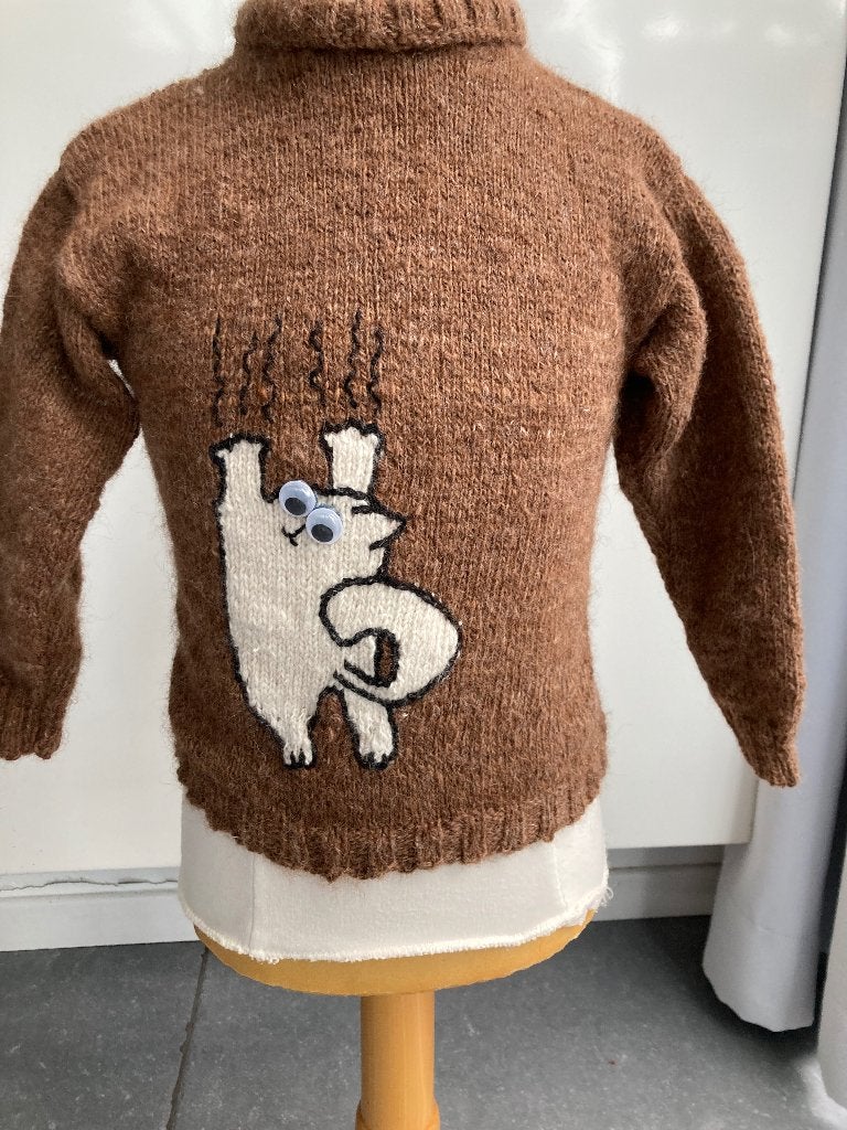 Nieuwe 100 % alpaca kinder trui, anti allergisch, Ophalen of Verzenden, Nieuw, Jongen of Meisje, Trui of Vest