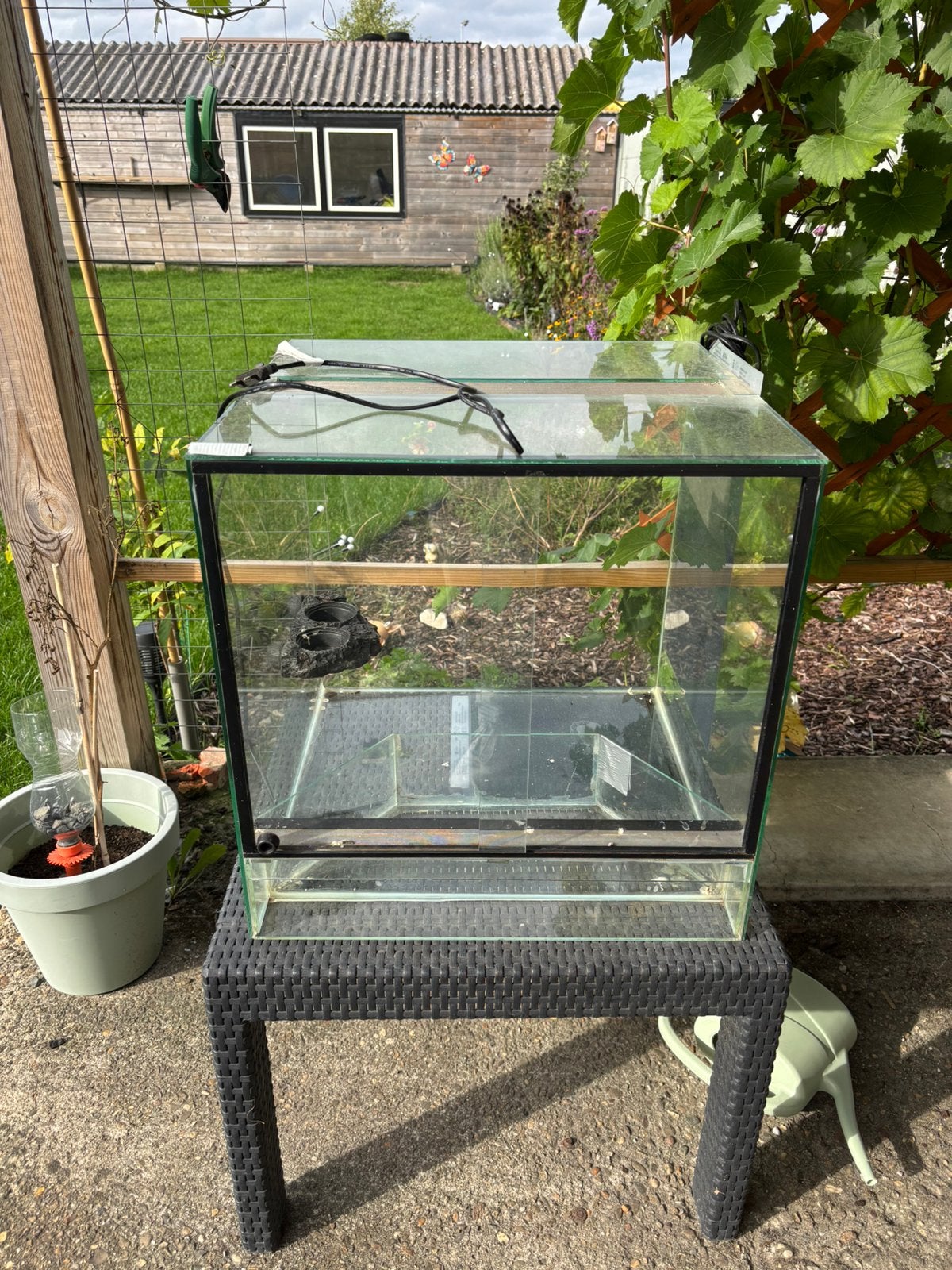 Terrarium 50x50x50, Dieren en Toebehoren, Ophalen, Gebruikt