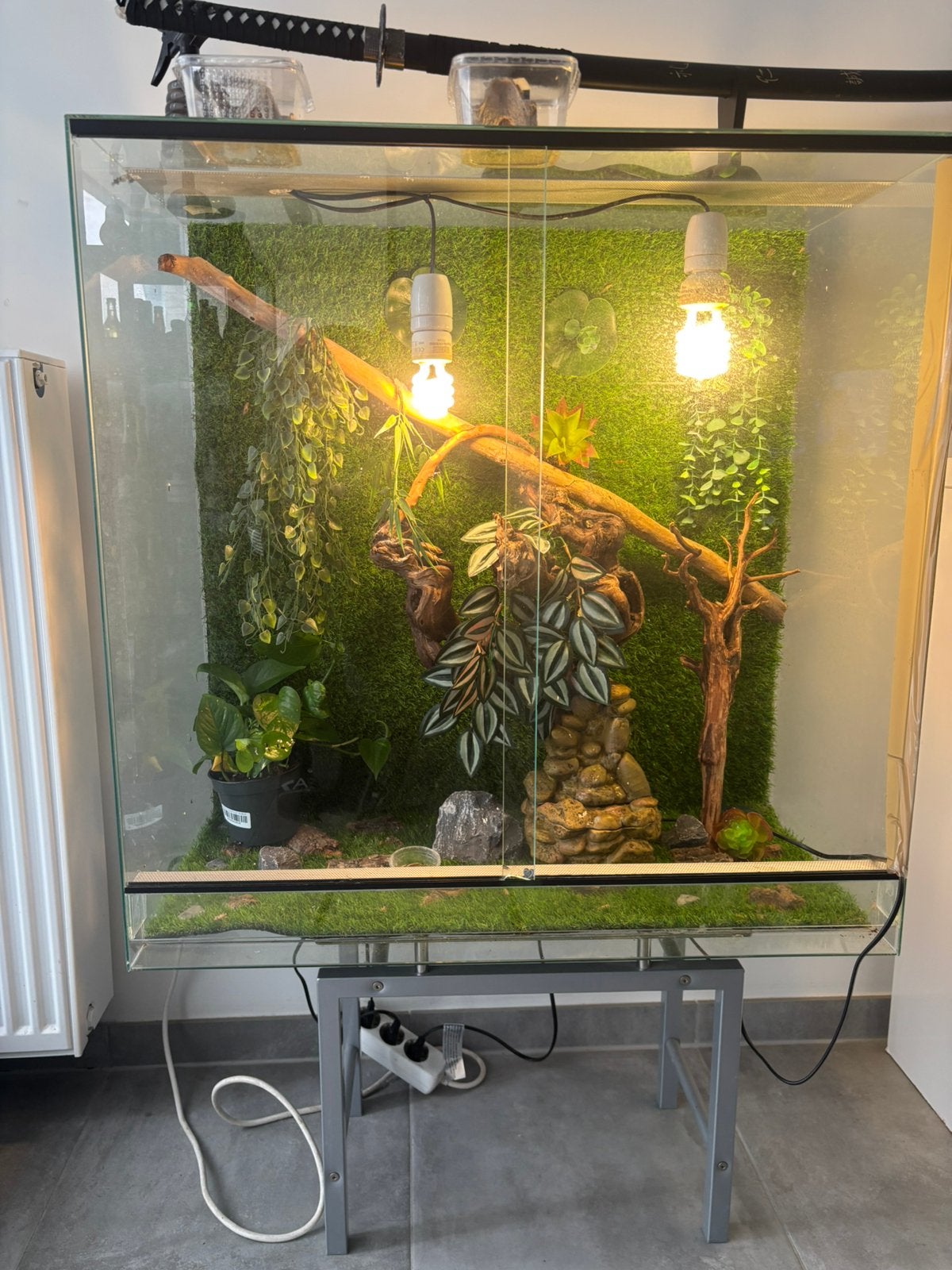 Compleet terrarium met waterval,1 madagaskar gekko, Dieren en Toebehoren, Reptielen en Amfibieën | Toebehoren, Ophalen, Zo goed als nieuw