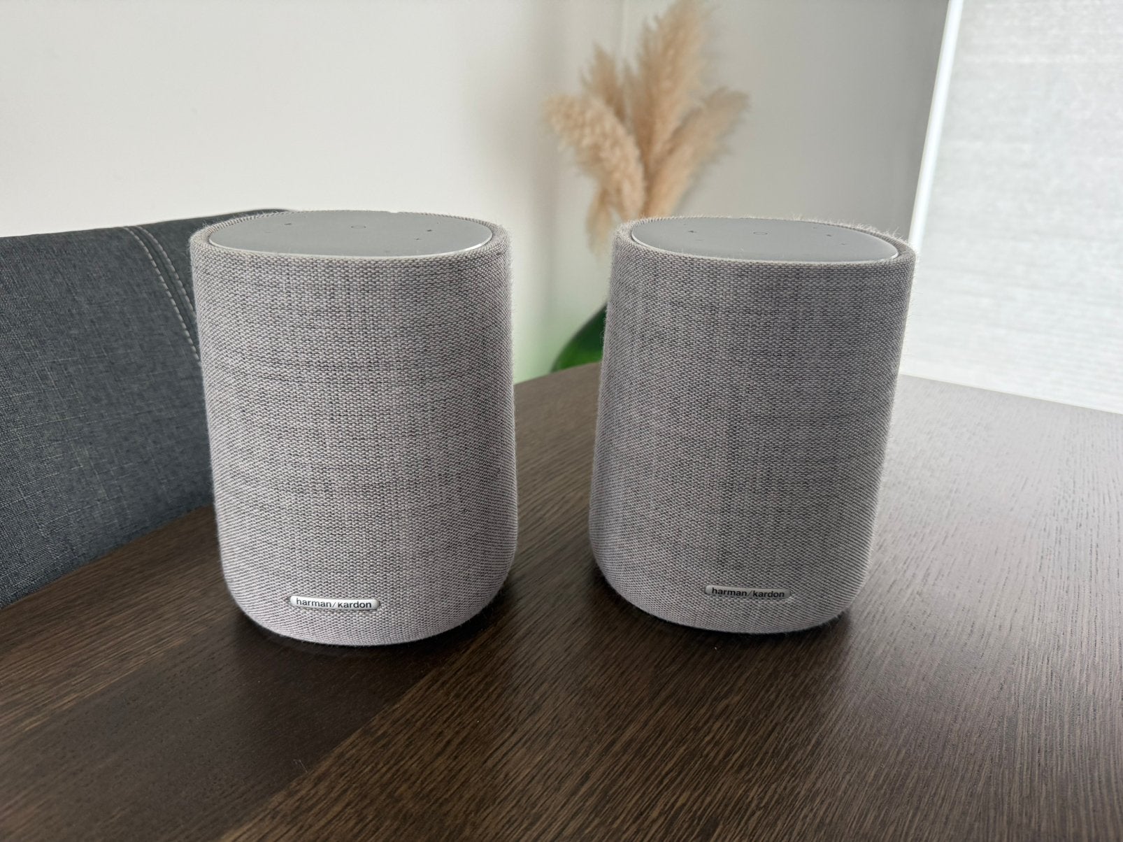 Paire d’enceintes Harman Kardon Citation One, Enlèvement, Comme neuf, Harman Kardon