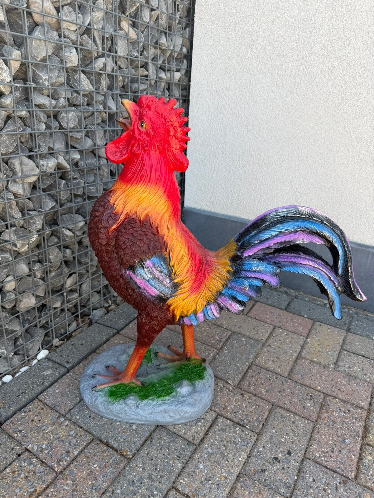 Coq, Enlèvement, Neuf, Animal