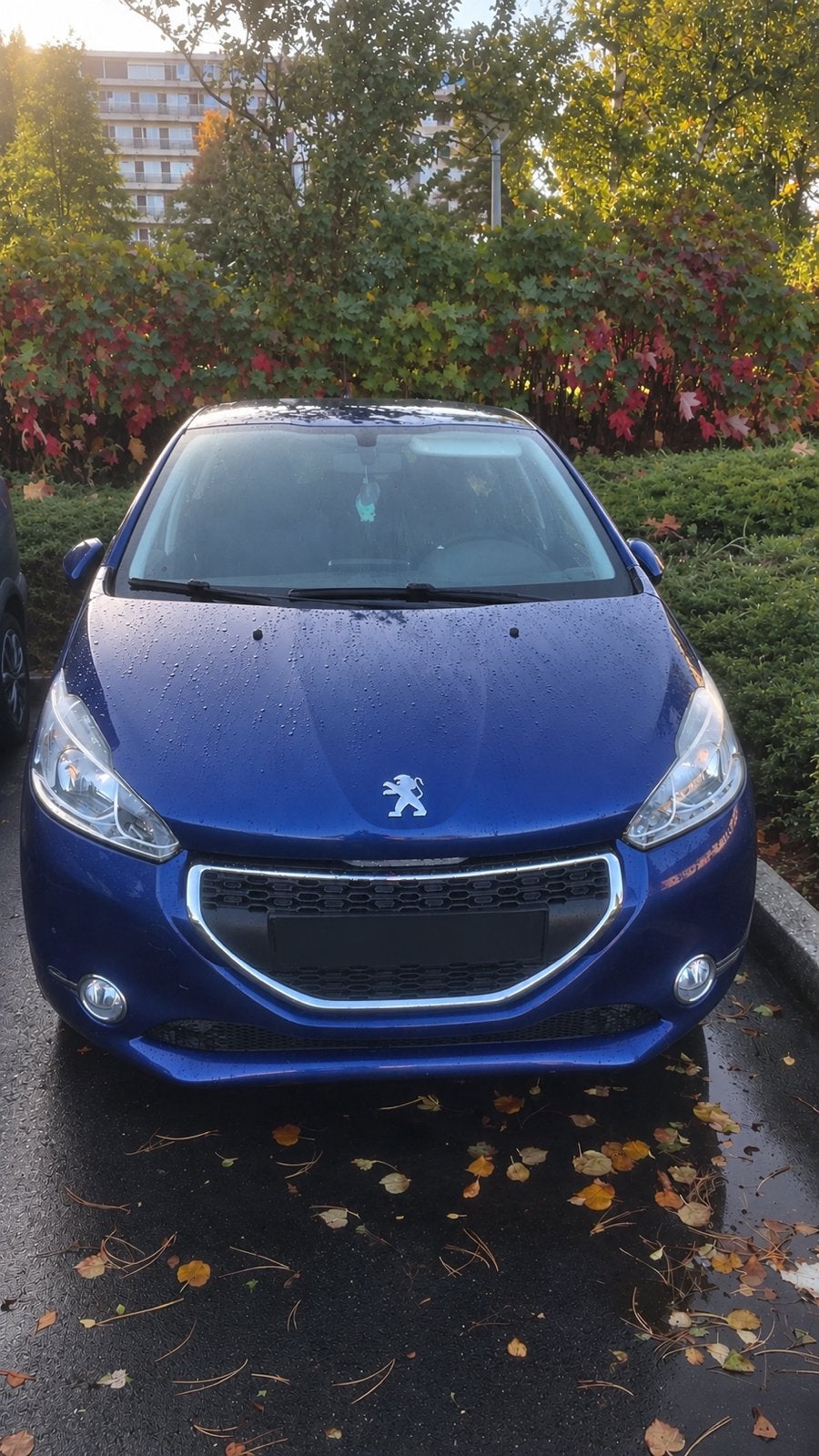Peugeot 208 prête à immatriculée, Achat, Particulier, Essence