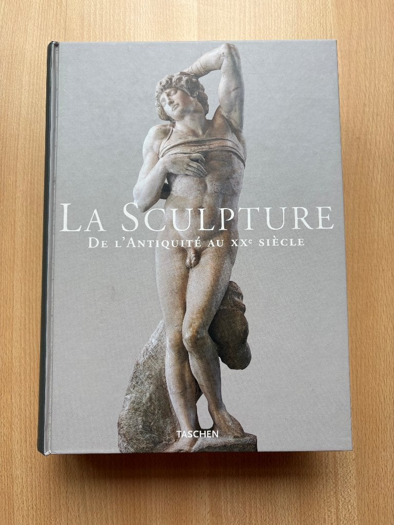 Beeldhouwkunst — van de oudheid tot de 20e eeuw, Georges Duby & Jean-Luc Daval, Overige onderwerpen, Ophalen, Gelezen