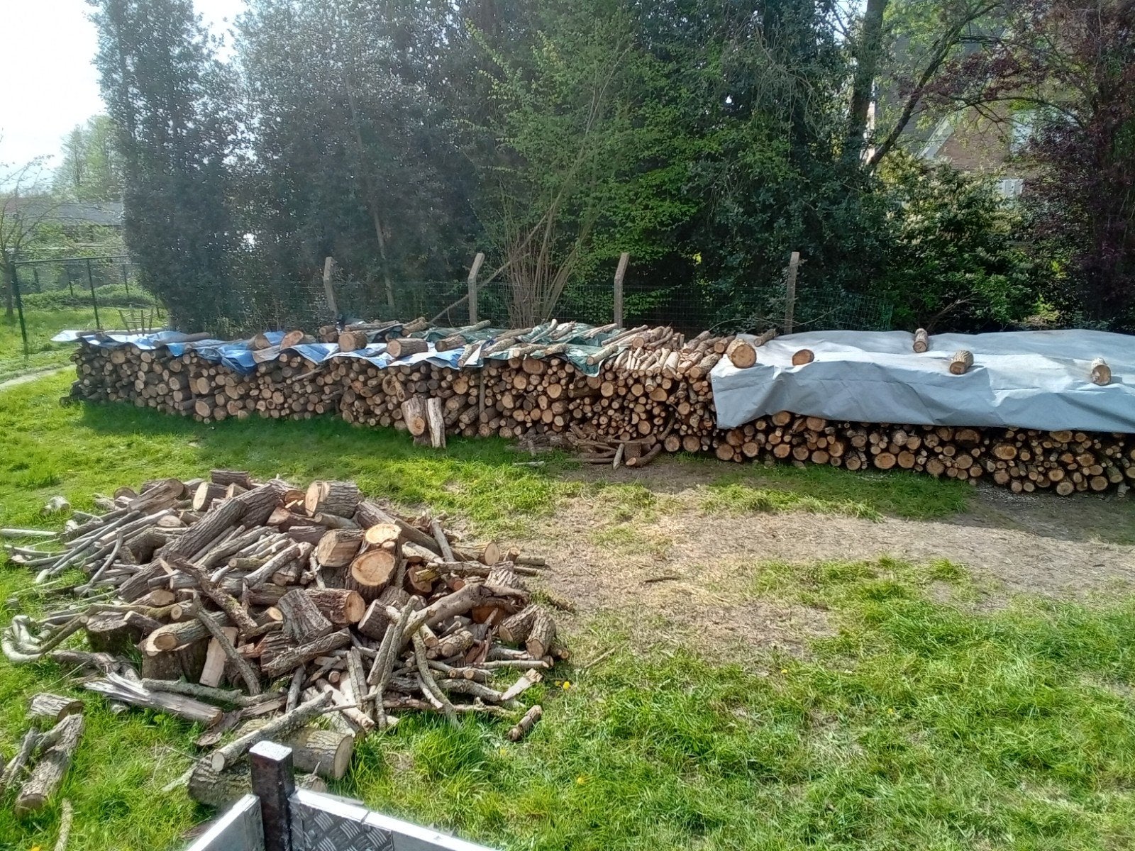 Brandhout van wilg, 6 m³ of meer, Ophalen, Overige houtsoorten, Takken