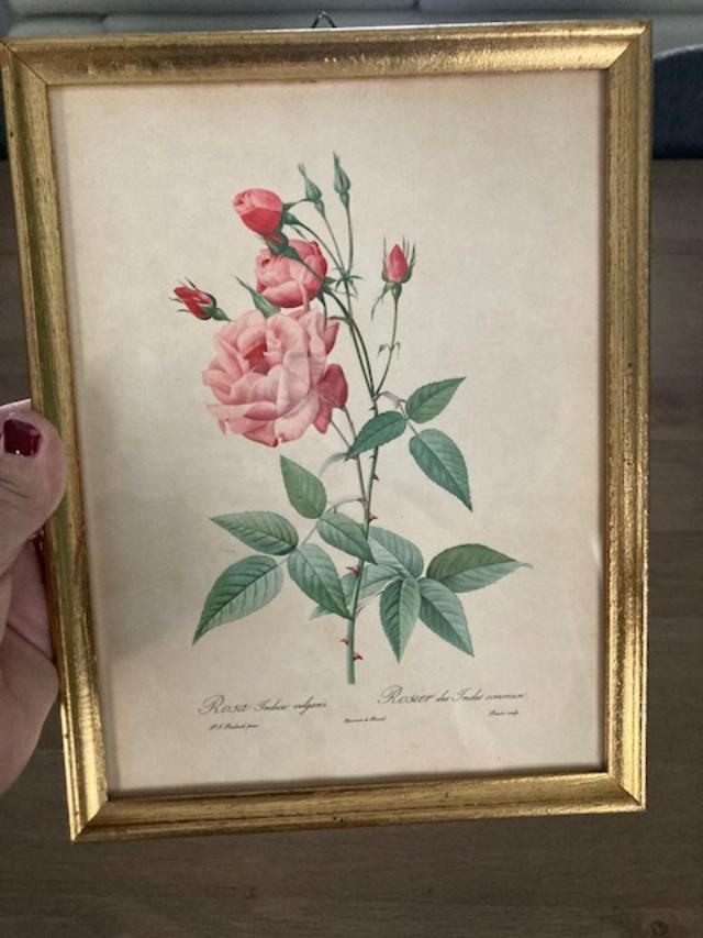 Kader met bloem in goede staat van het jaar 1979 voor 5 euro, Enlèvement, Utilisé