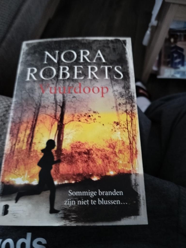Nora Roberts - Vuurdoop, Boeken, Thrillers, Ophalen