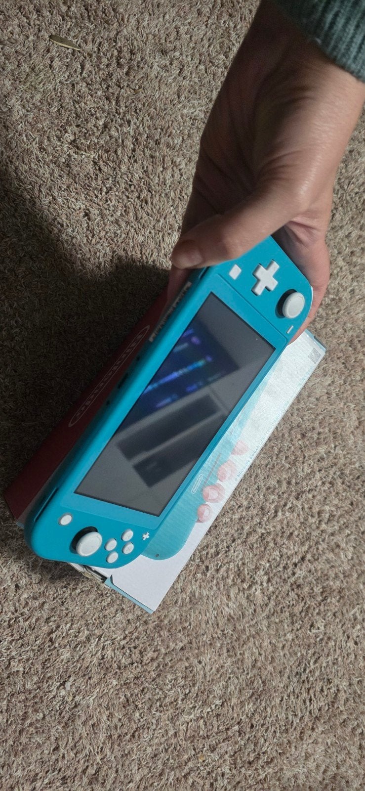 Nintendo Switch Lite, Enlèvement