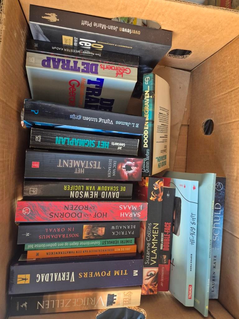 Doos boeken, Boeken, Ophalen of Verzenden