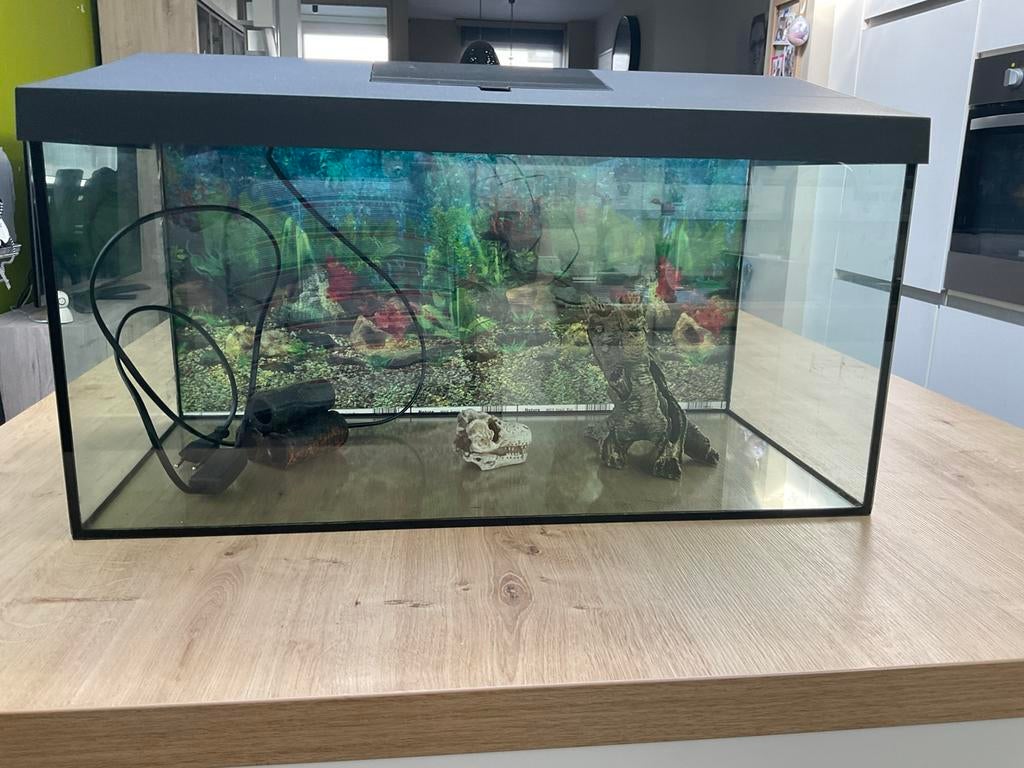 Visbak, Dieren en Toebehoren, Vissen | Aquaria en Toebehoren, Ophalen, Zo goed als nieuw, Filter