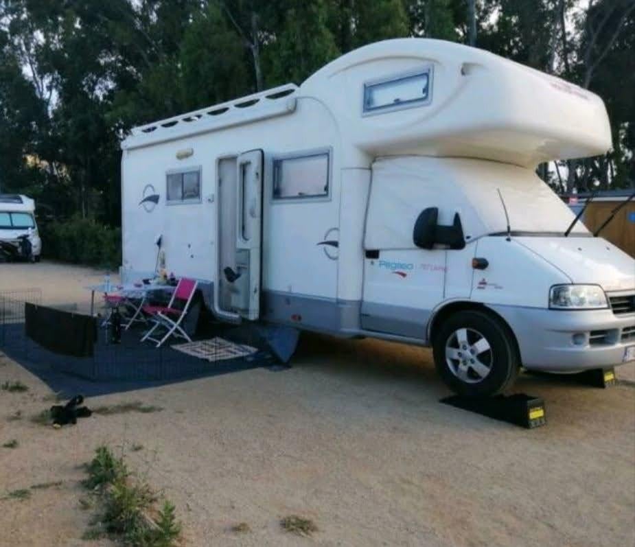 Mobilhome +/_ 110 000 km pegaso met alkoof met airco, Particulier
