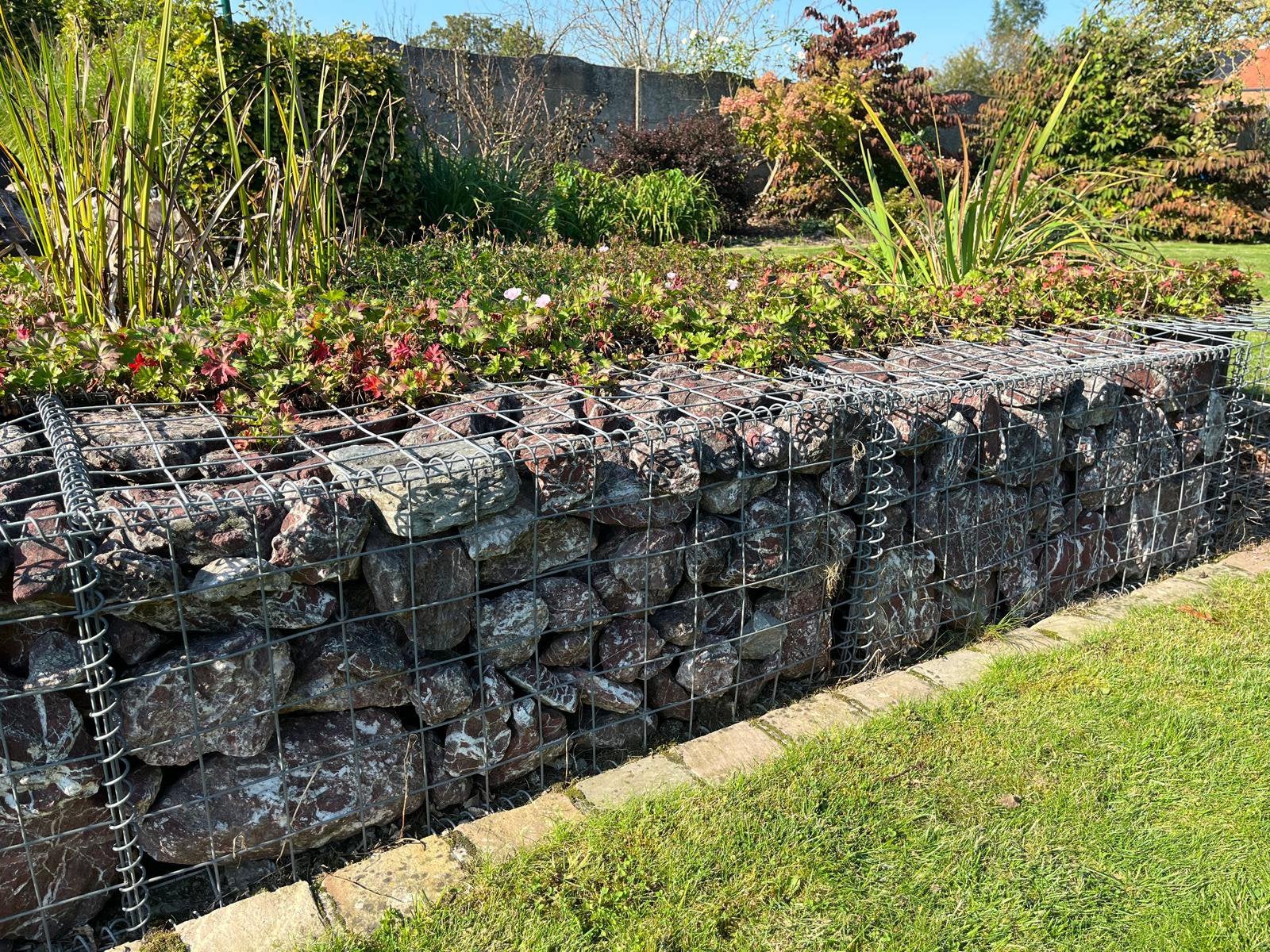Gratis steenkorven, Jardin & Terrasse, Rose, Enlèvement, Utilisé, Rocher