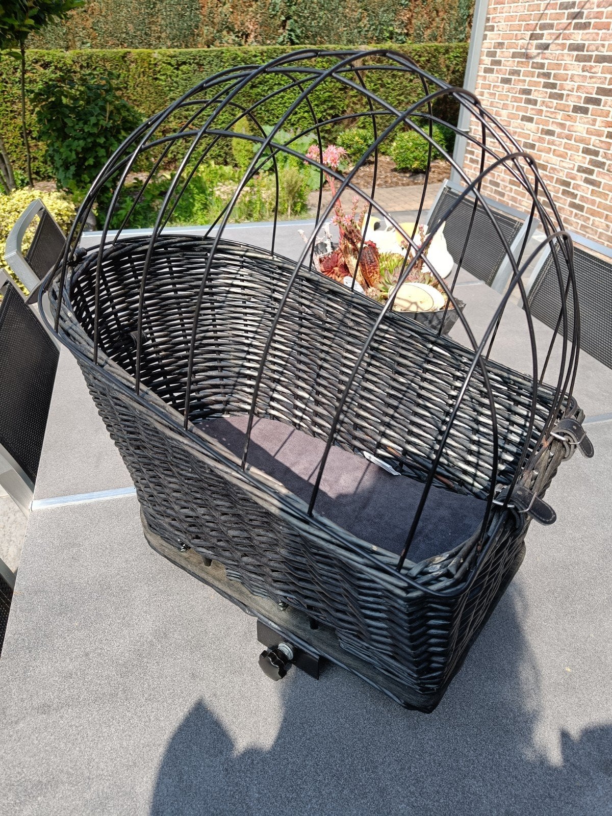 panier de vélo pour chien, Enlèvement, Panier de vélo