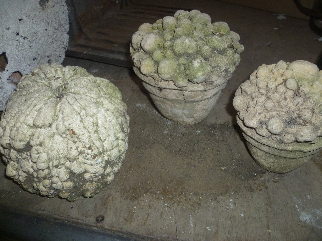 STENEN TUIN DECORATIE, Ophalen