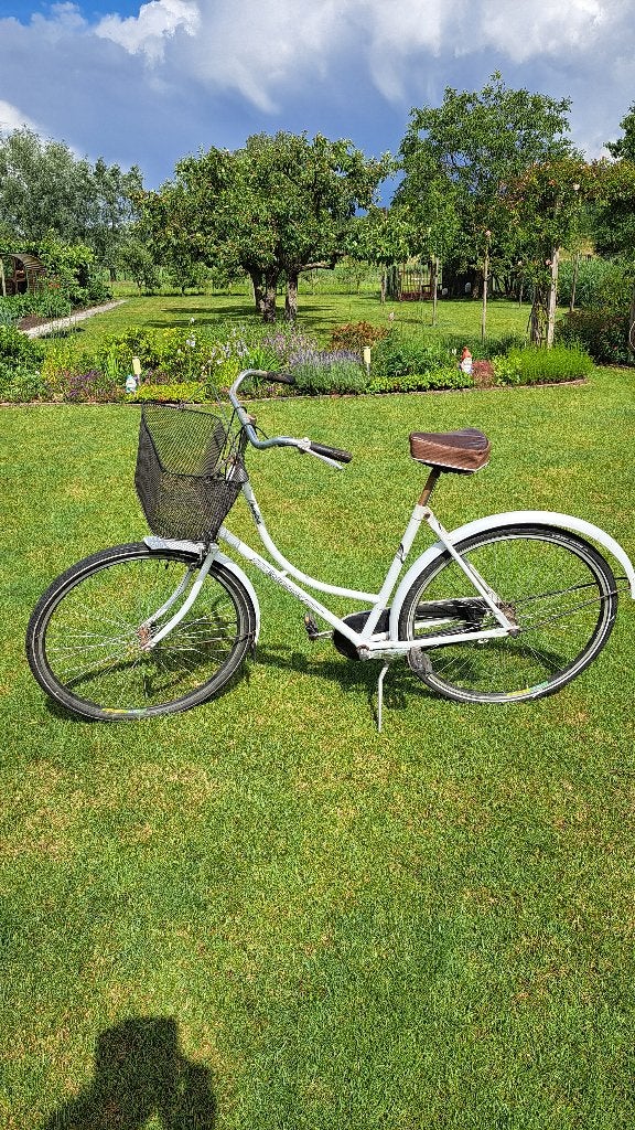 vintage damesfiets, Ophalen, Gebruikt, Terugtraprem