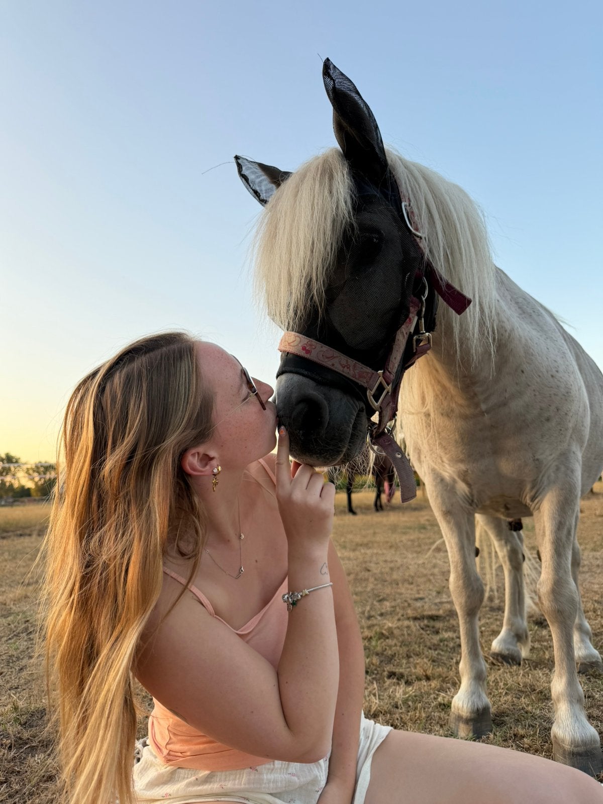 GEZOCHT VEULEN, Dieren en Toebehoren, Paarden, Onbeleerd, 160 tot 165 cm, 0 tot 2 jaar