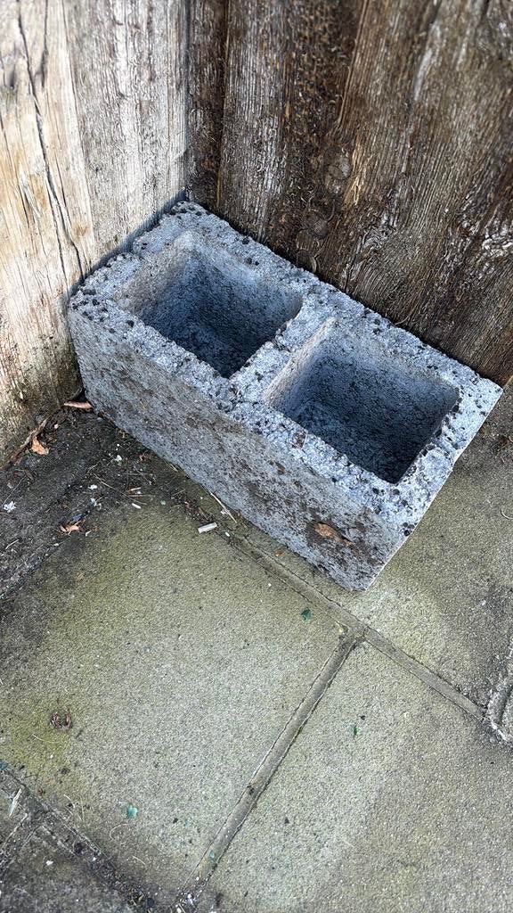 Gratis stenen tuin, Ophalen, Zo goed als nieuw, Tuin