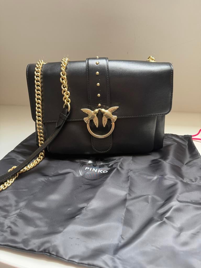 Handtas Pinko, Handtassen en Accessoires, Tassen | Damestassen, Ophalen of Verzenden, Zo goed als nieuw, Handtas