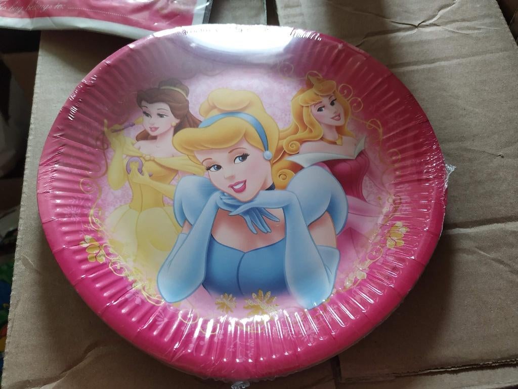 princess set kartonnen bordjes, bekers, servietten enz, Kinderen en Baby's, Ophalen of Verzenden, Nieuw