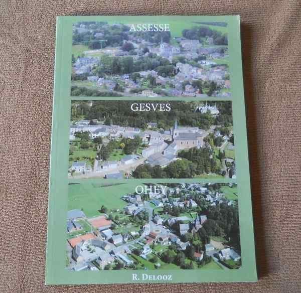 Assesse Gesves Ohey  (R. Delooz), Boeken, Ophalen of Verzenden, Gelezen, R. DELOOZ