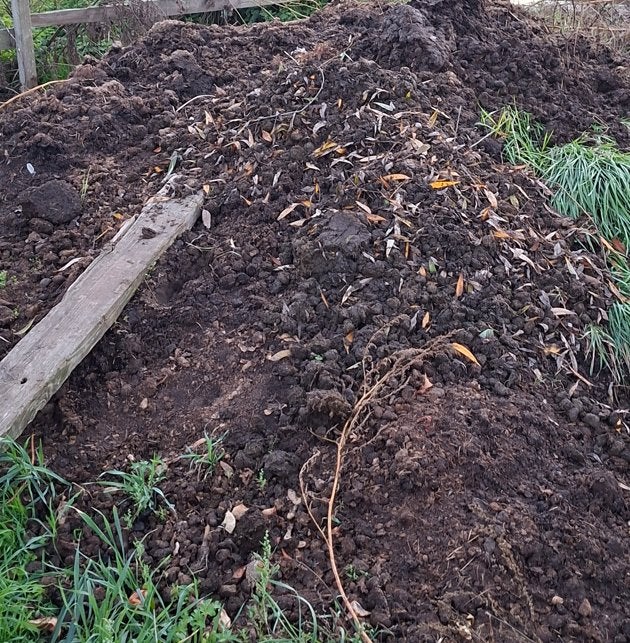 paardenmest, Tuin en Terras, Ophalen, Mest