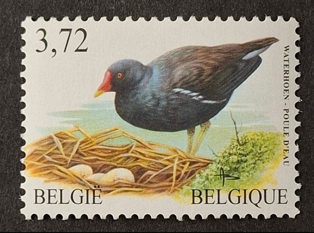 België: OBP 3212 ** Vogels 2003., Frankeerzegel, Ophalen of Verzenden, Zonder stempel, Postfris