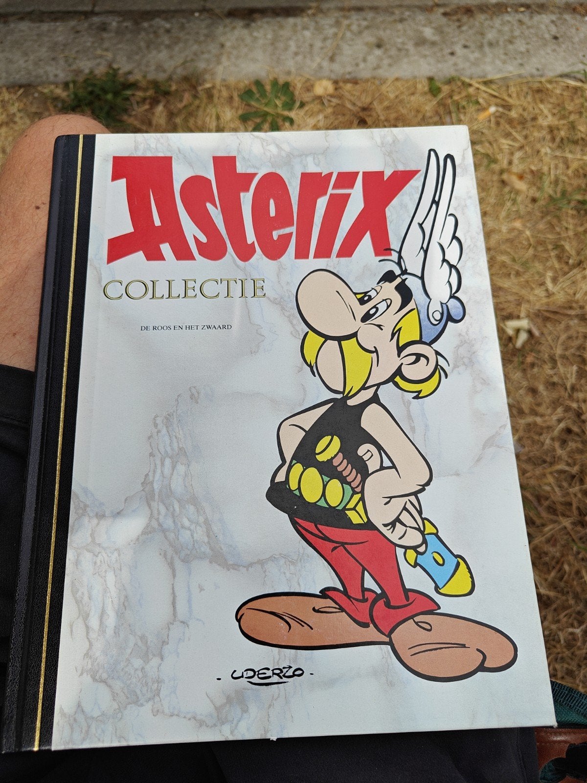 Asterix Collectie - De roos en het zwaard - Collectie, Ophalen of Verzenden, Nieuw, Albert Uderzo & René Goscinny