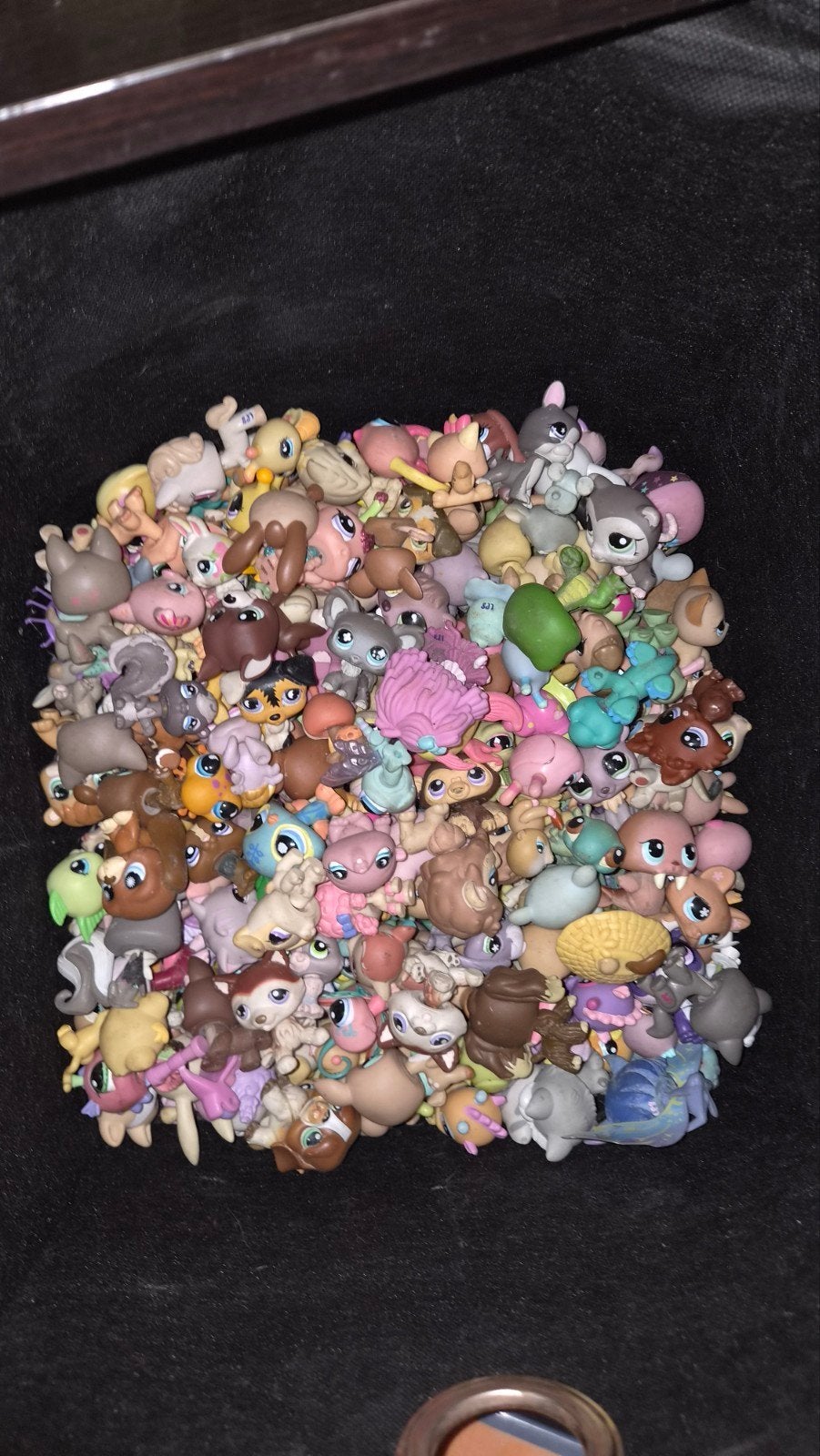 littlest pet shop, Kinderen en Baby's, Ophalen, Gebruikt