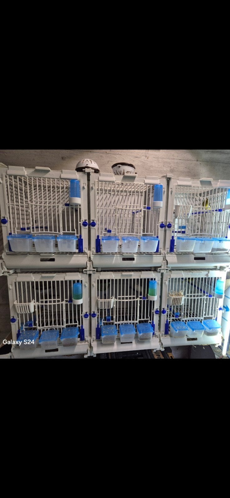 cages pvc moldes ave, Ophalen