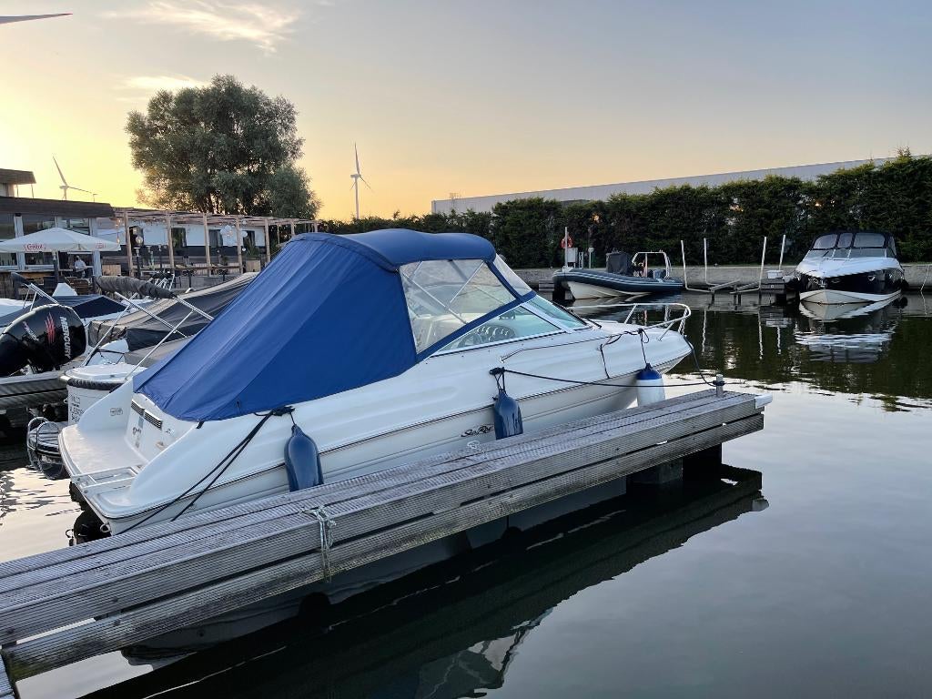 Sea Ray 215 EC motorboot tot 8 personen en Riba trailer, Ophalen, Gebruikt, 50 pk of meer, Binnenboordmotor