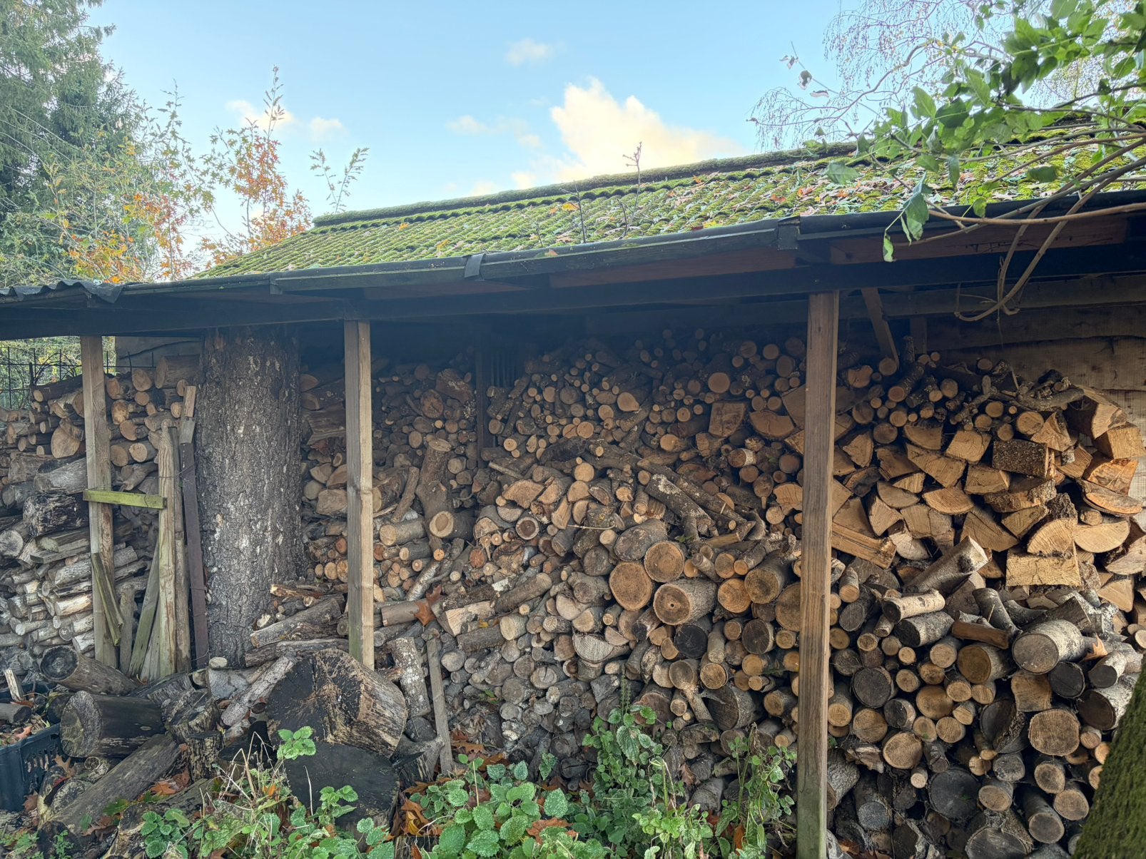 Bois de chauffage mixte - sécheresses diverses - 75 €/m³, Jardin & Terrasse, Enlèvement, Bûches