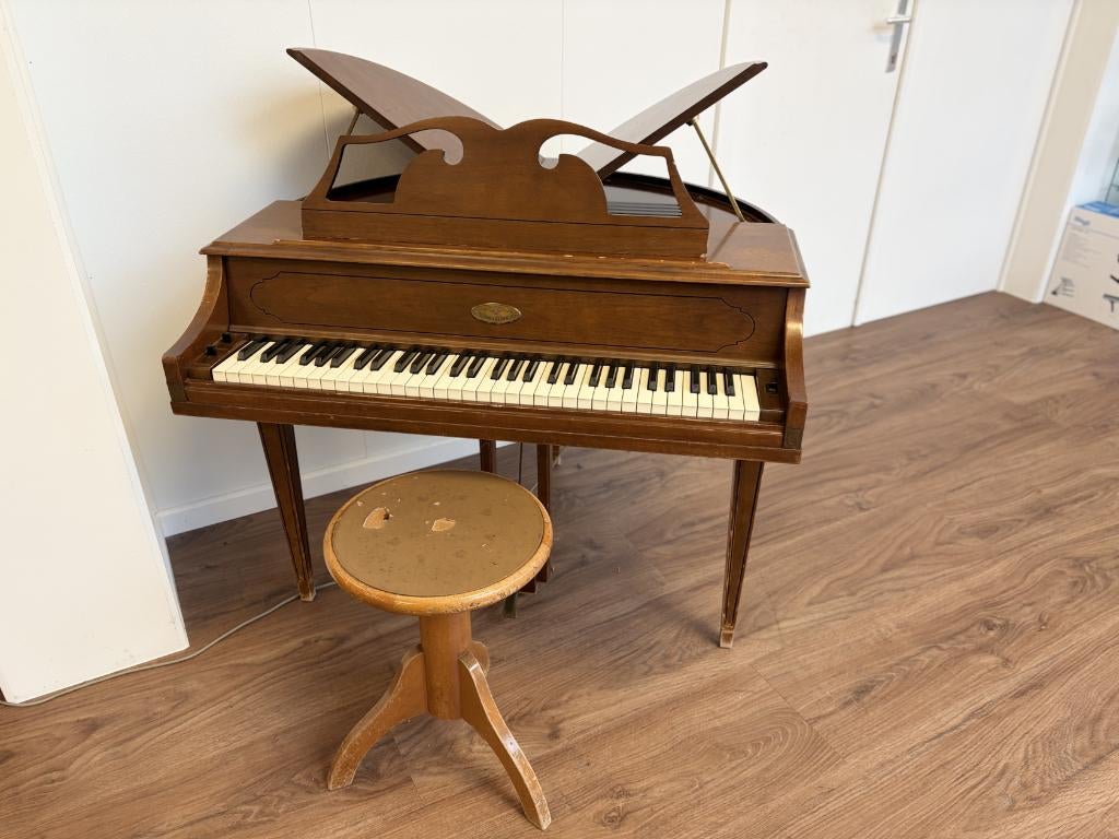 Wurlitzer 270 Butterfly Baby Grand, Ophalen, Bruin, Piano, Digitaal