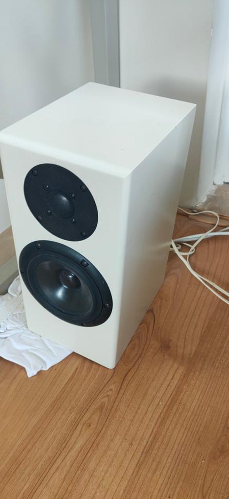 Totem rainmaker wit, Gebruikt, 120 watt of meer, Front, Rear of Stereo speakers, Ophalen
