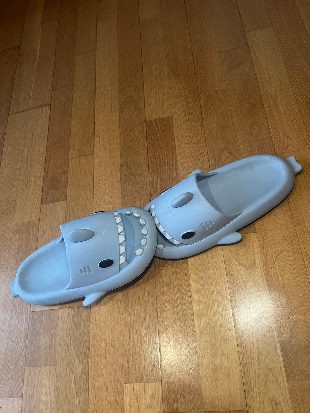 Chaussons Shark, Enlèvement ou Envoi, Porté, Bleu, Chaussons
