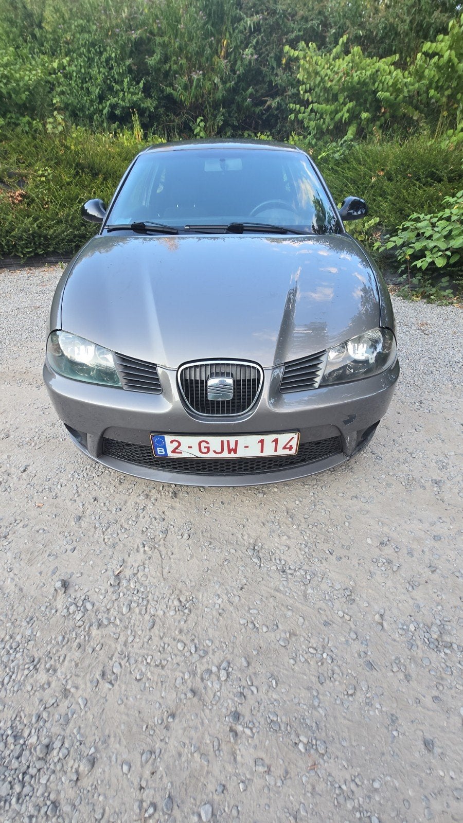 Seat ibiza cupra 1.9tdi 160cv, Autos, Seat, Argent ou Gris, Achat, Boîte manuelle, Cruise Control